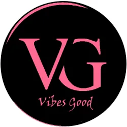 VG Vibes Good incubated startup logo