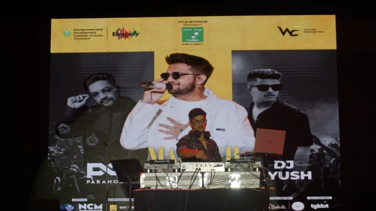DJ Performance at a Night Event