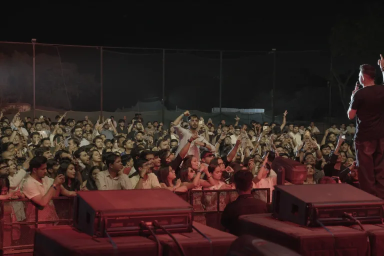 Large Concert Crowd