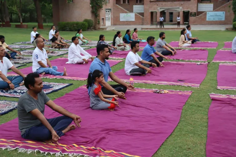 Outdoor Yoga Session
