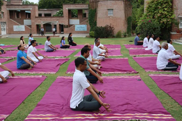 Outdoor Yoga Session