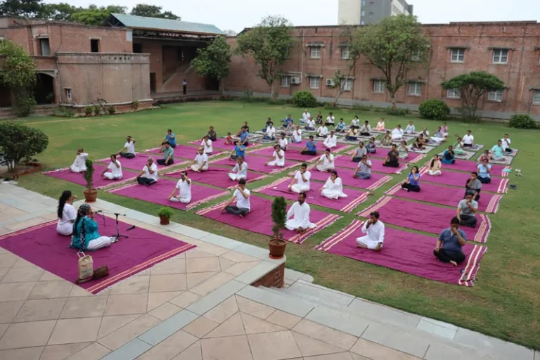 Outdoor Yoga Session