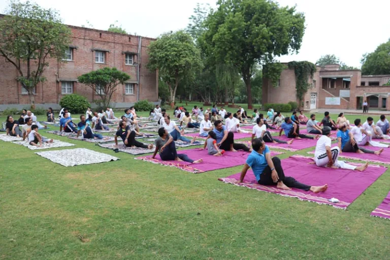 Outdoor Yoga Session