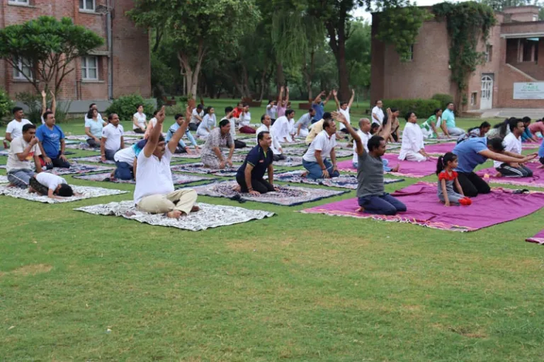 Yoga on the Lawn