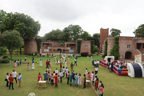 Group Activity on the Lawn