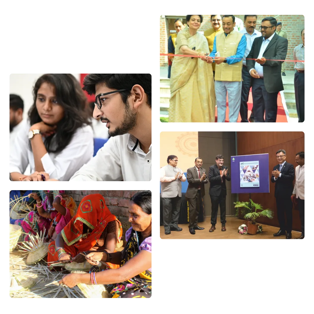 Collage of photographs from EDII activities