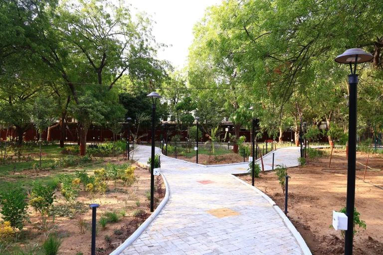 Garden Pathway with Lamp Posts