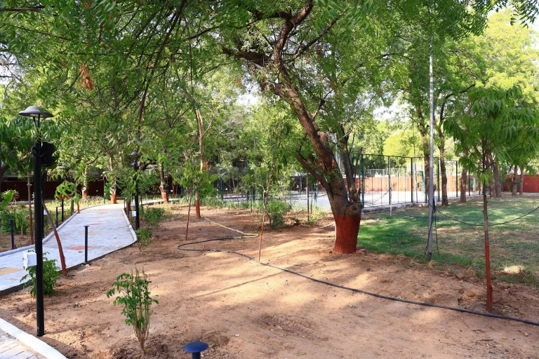 Campus Garden Pathway