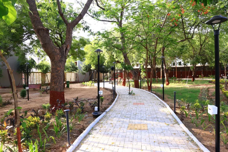 Winding Garden Pathway