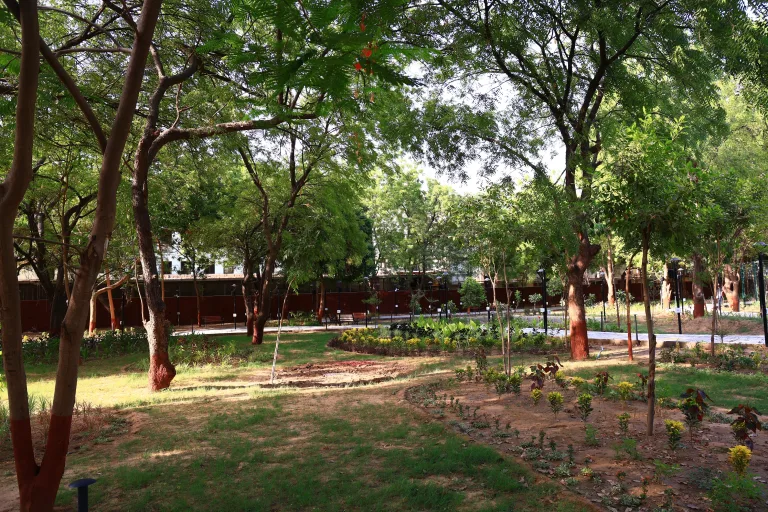 Green Campus Garden