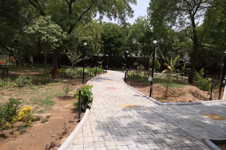 Campus Garden Pathway